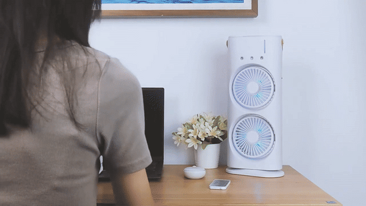 Double Ended Spray Fan
